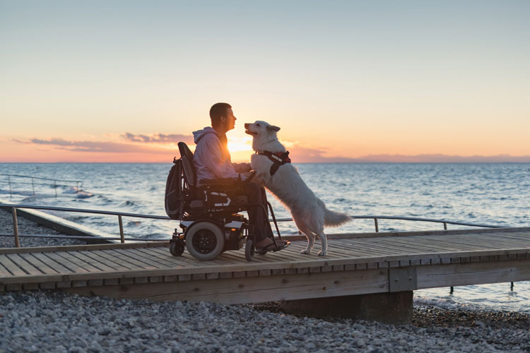 Emotional Service Animals